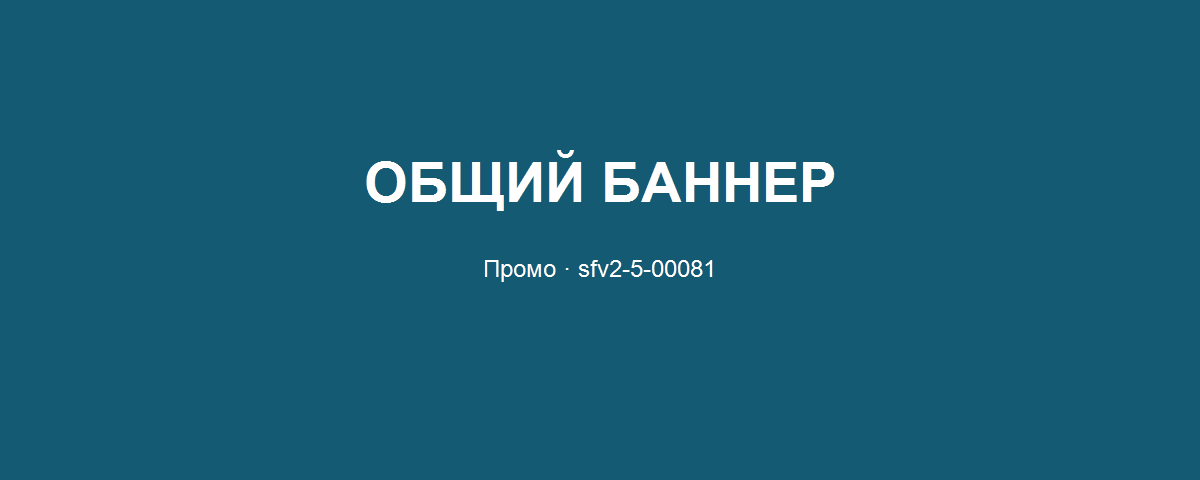 Общий баннер sfv2-5-00081